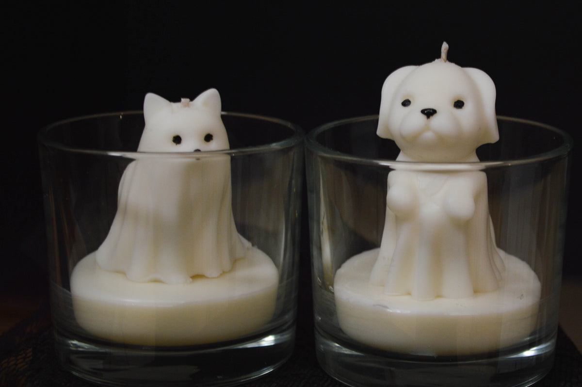 „Pets” Rinkinys